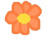 kvety3.jpg