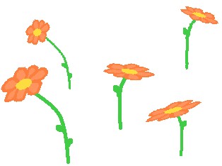 kvety5.jpg